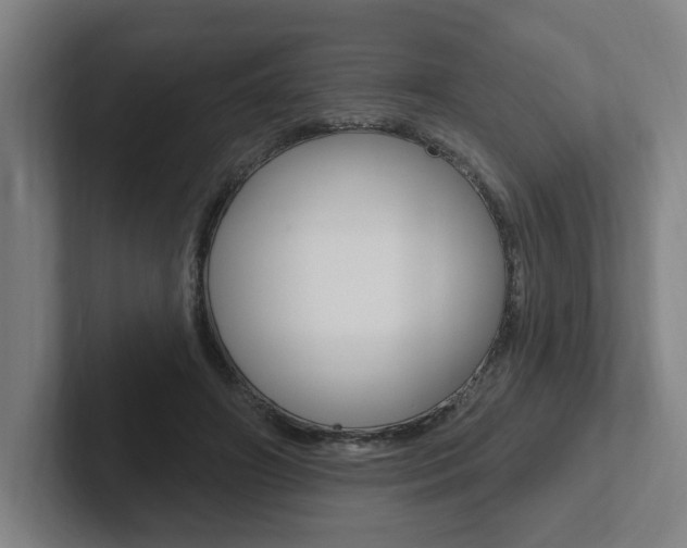 X0000102810498200808180956