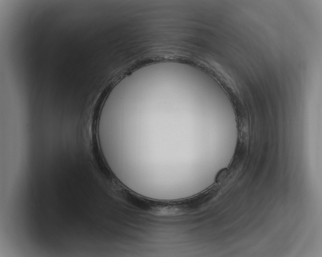 X0000102810500200808180956