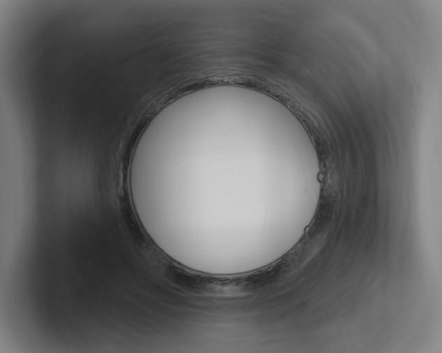 X0000102810502200808180956