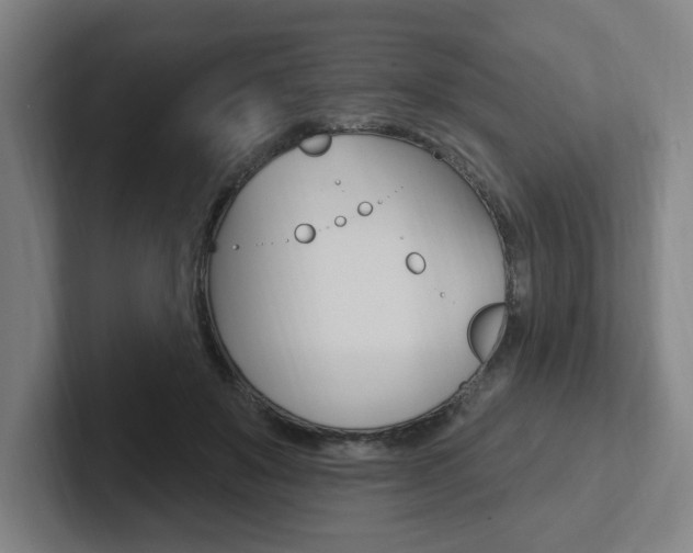 X0000102810503200808180956