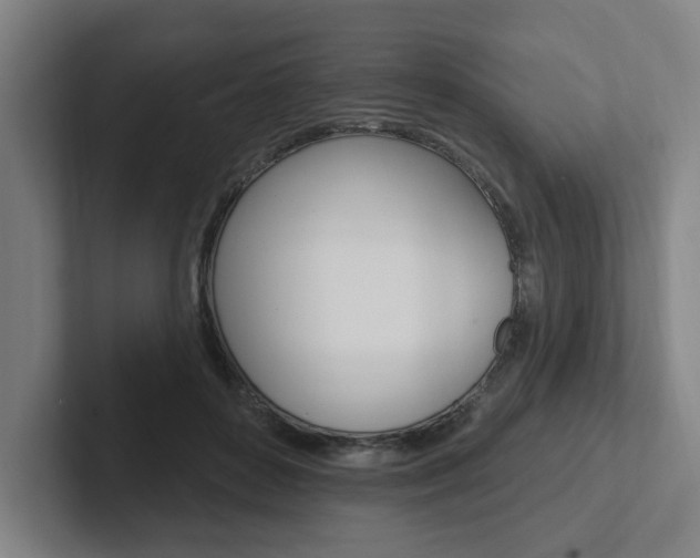 X0000102810504200808180956