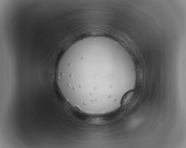 X0000102810507200808180955