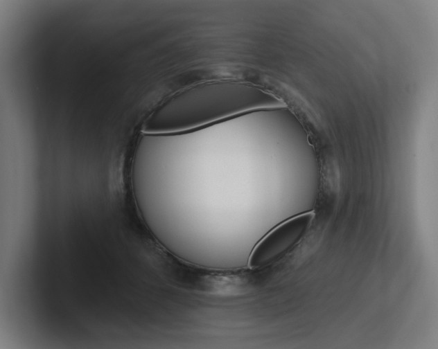 X0000102810512200808180955