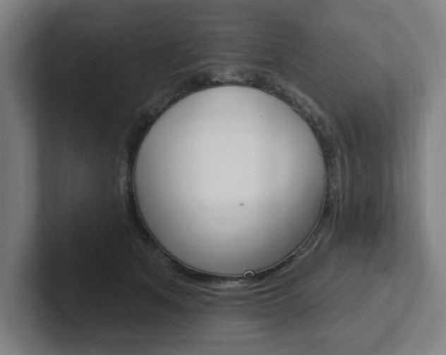 X0000102810513200808180955