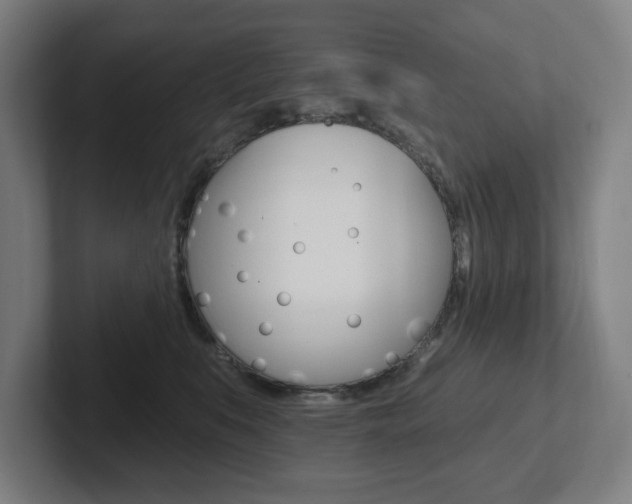 X0000102810519200808180955