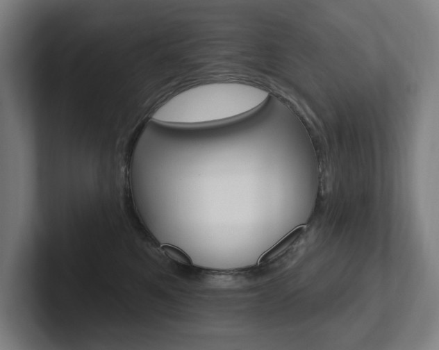 X0000102810521200808180955