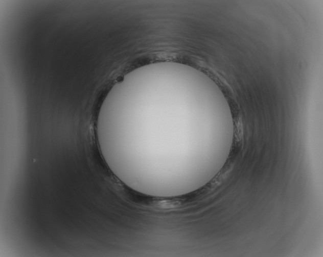 X0000102810522200808180955