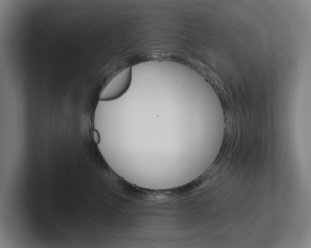 X0000102810523200808180955