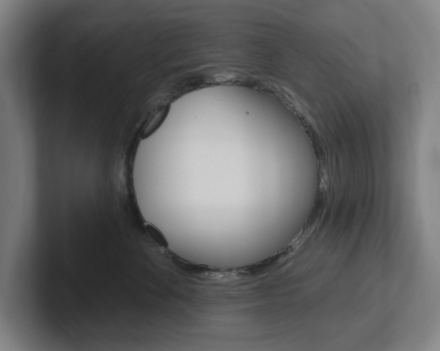 X0000102810524200808180955