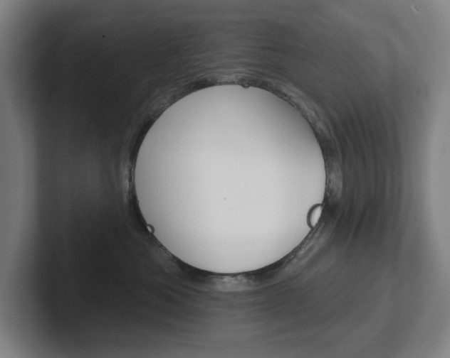 X0000102810525200808180955