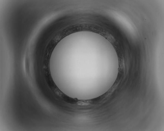 X0000102810526200808180955