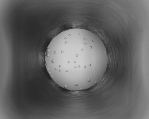 X0000102810527200808180955