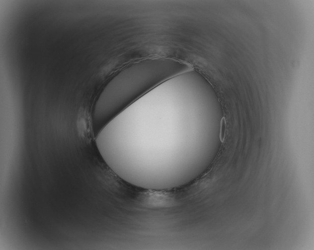 X0000102810528200808180955