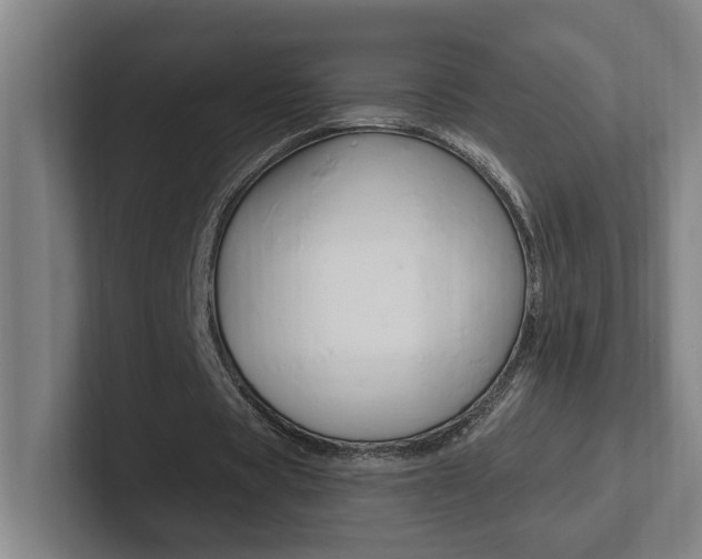 X0000102810529200808180955