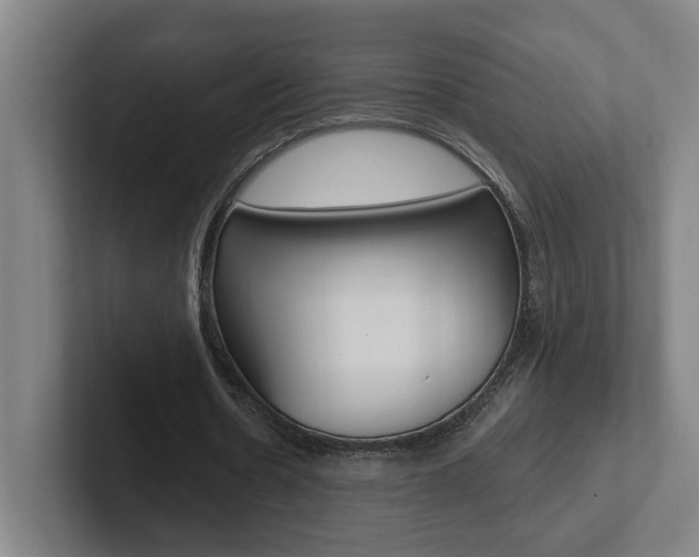 X0000102810530200808180955