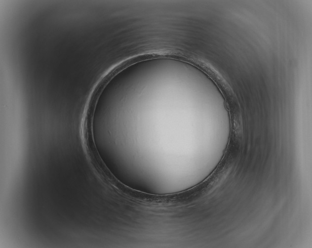 X0000102810532200808180955