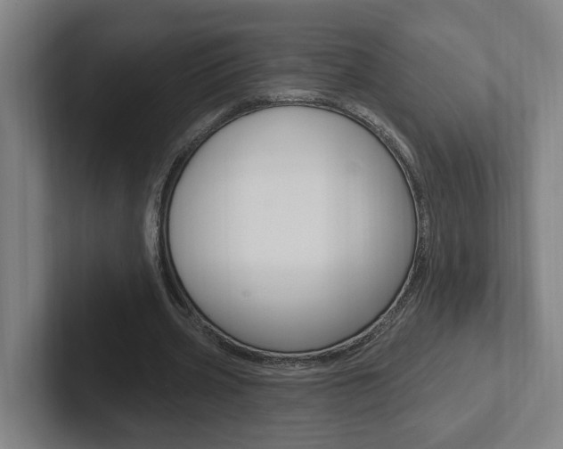 X0000102810533200808180955