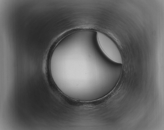 X0000102810536200808180955