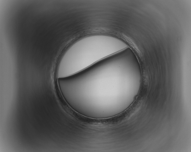 X0000102810538200808180955