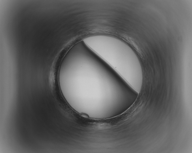 X0000102810539200808180955