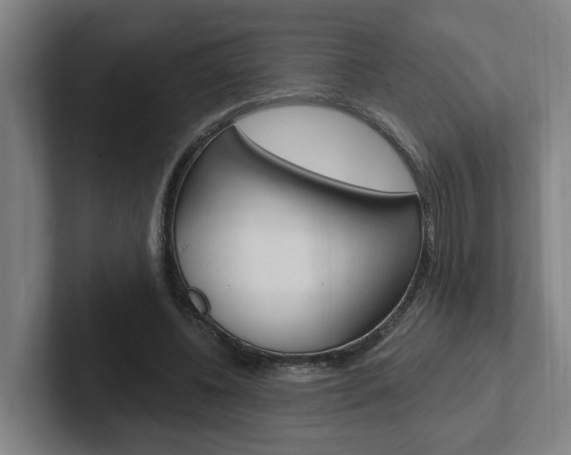 X0000102810540200808180955