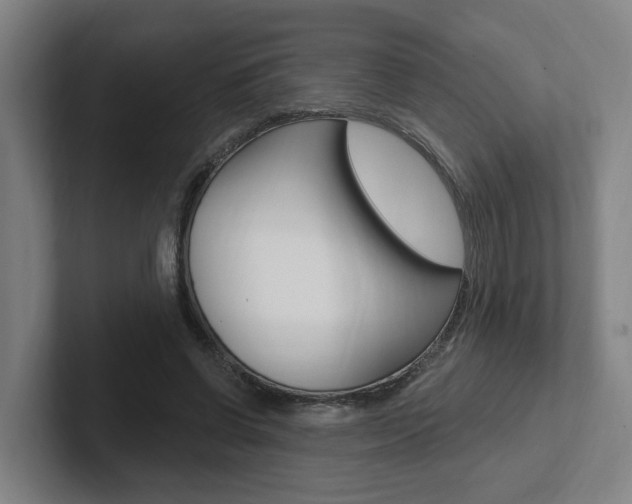 X0000102810542200808180955