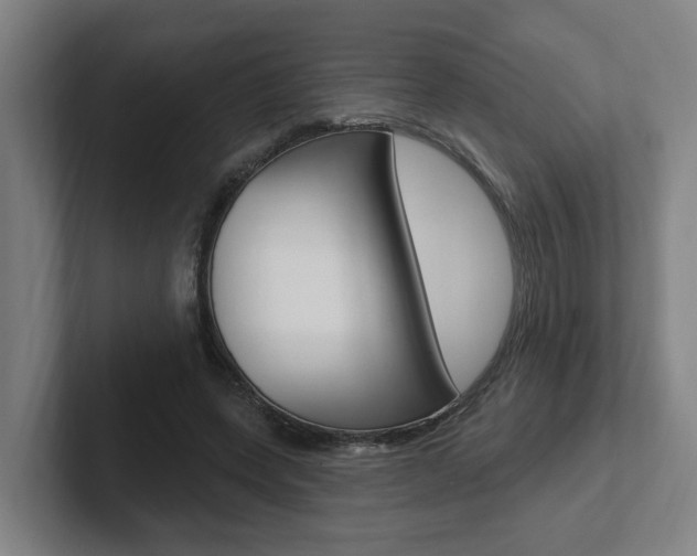 X0000102810543200808180955