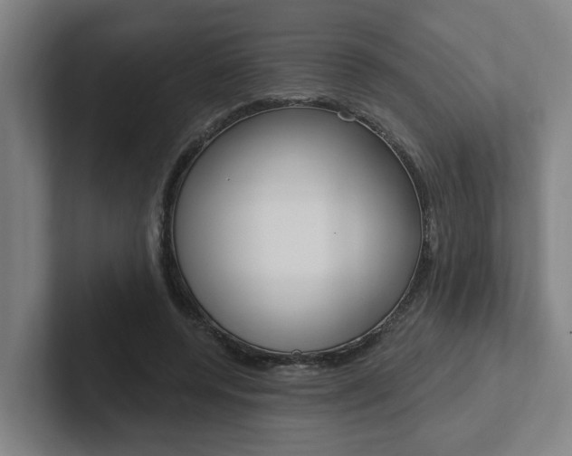 X0000102810544200808180955