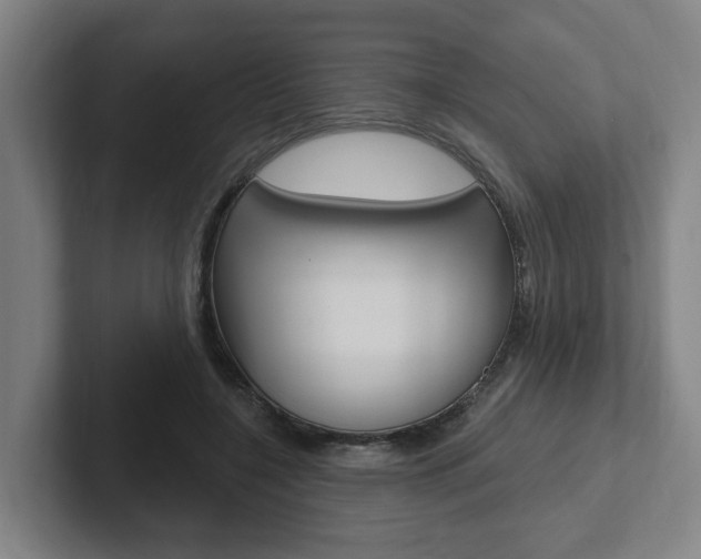 X0000102810548200808180955