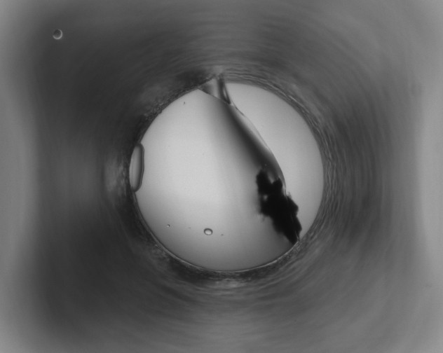 X0000102810551200808180955