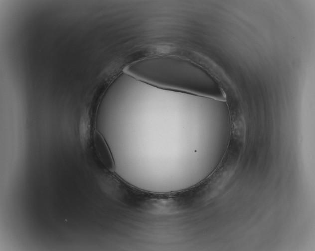 X0000102810552200808180955