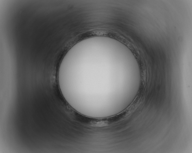 X0000102810553200808180955