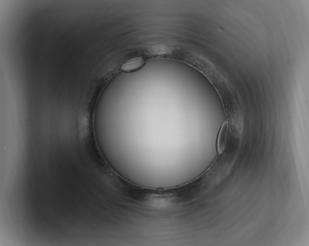 X0000102810556200808180955