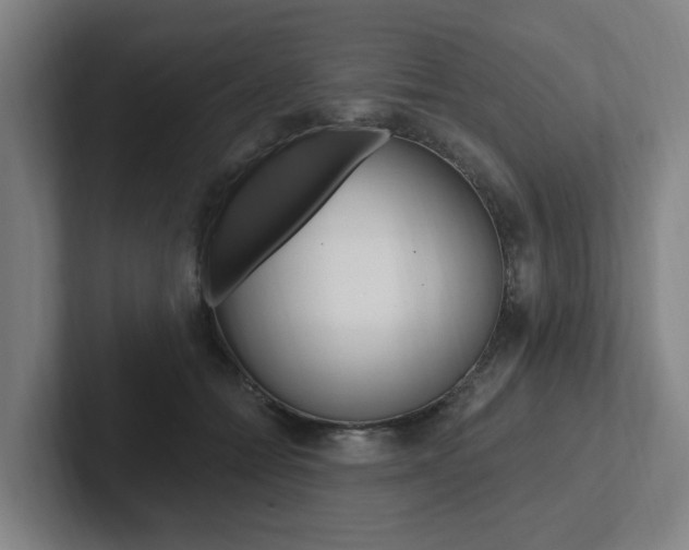 X0000102810558200808180955