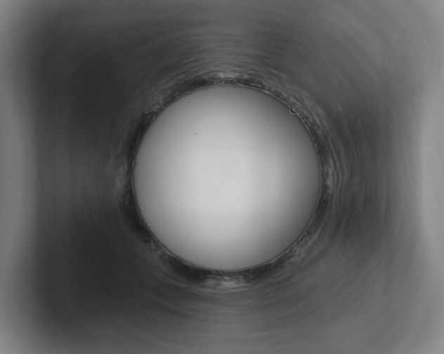 X0000102810559200808180955