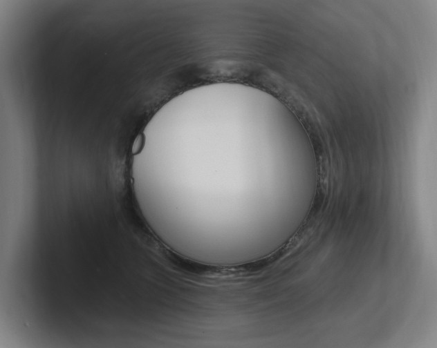 X0000102810563200808180955