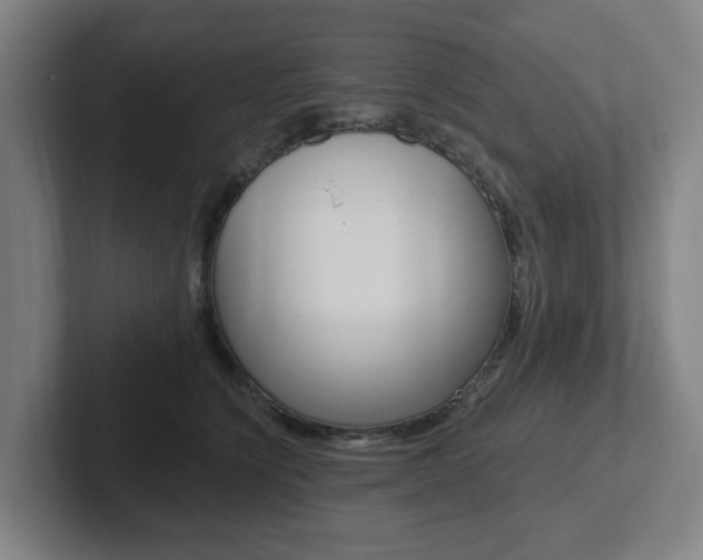 X0000102810564200808180955