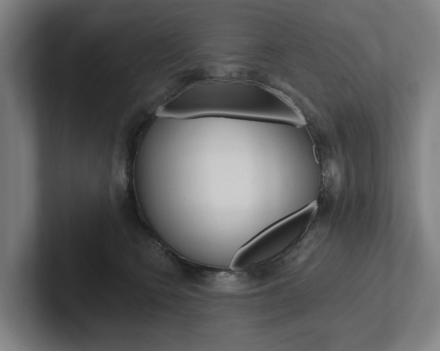 X0000102810566200808180955