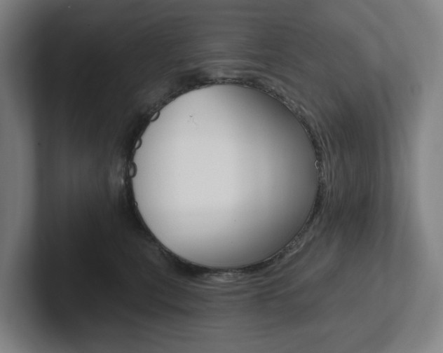 X0000102810567200808180955