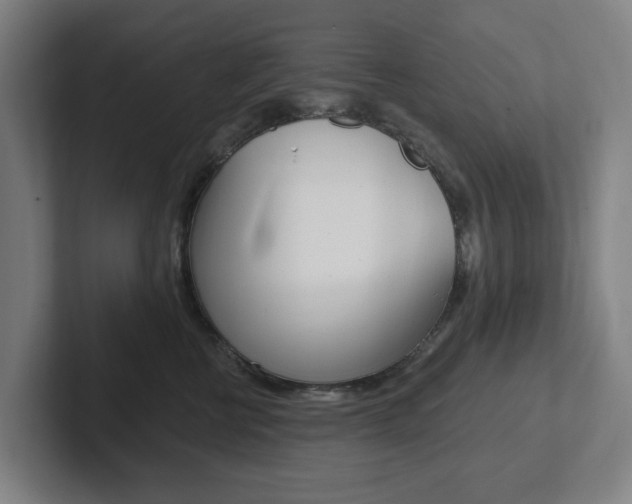 X0000102810570200808180955