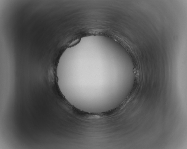 X0000102810572200808180955