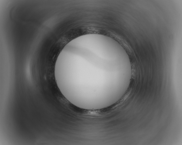 X0000102810573200808180955