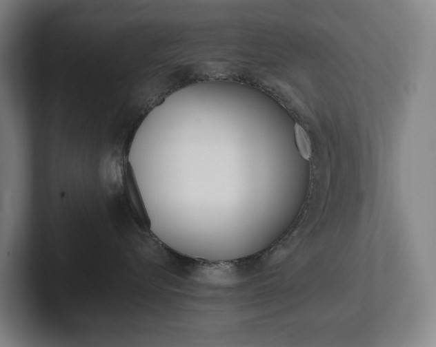 X0000102810576200808180955