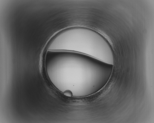 X0000102810580200808180955