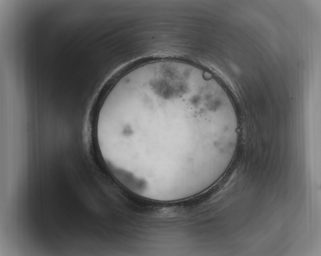 X0000102810584200808180954