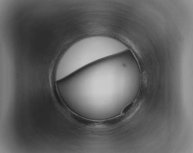 X0000102810589200808180954