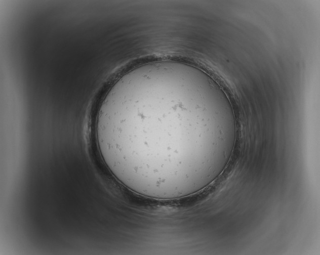 X0000102810592200808180954