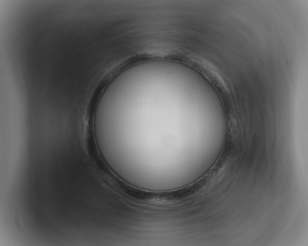 X0000102810596200808180954