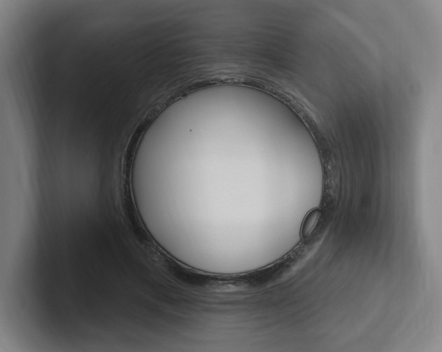 X0000102810597200808180954