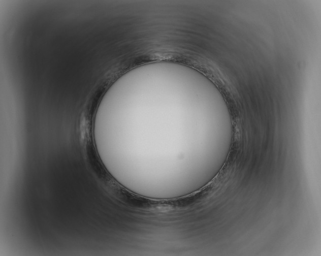 X0000102810598200808180954